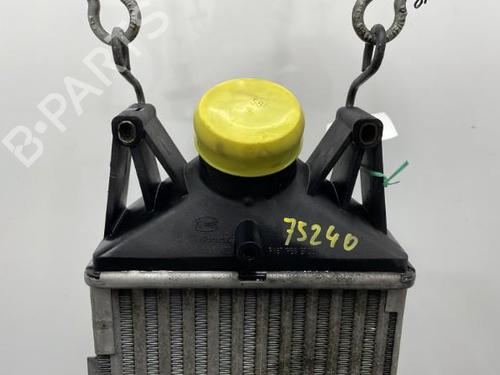 Intercooler IVECO DAILY IV Van 35C15 V, 35C15 V/P | BP21240921M30 