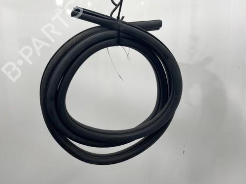 Rubber door seal FORD FOCUS II (DA_, HCP, DP) 1.6 TDCi | BP20396879C142 