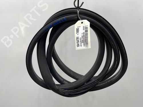 Used Rubber door seal RENAULT SCÉNIC III (JZ0/1_) 1.5 dCi (106 hp) 24895435