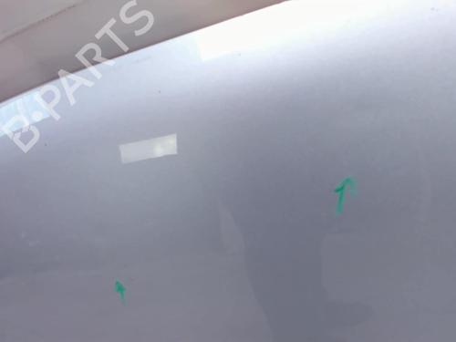 Hood FIAT IDEA (350_) 1.3 D Multijet | BP20436110C1 