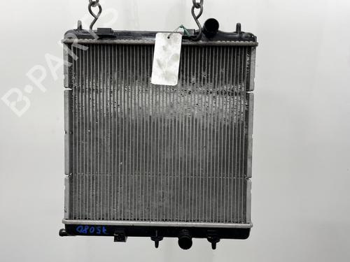 Used Water radiator Water radiator PEUGEOT 207 (WA_, WC_) 1.4 16V (95 hp) 20418248 20418248