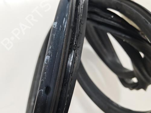 rubber-door-seal-renault-megane-iv-hatchback-b9amn_-2015-39607261 main image