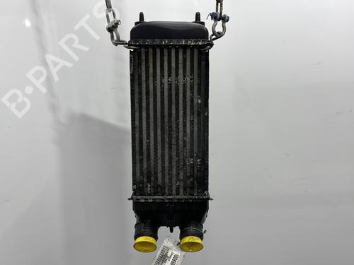 Used Intercooler Intercooler PEUGEOT 207 (WA_, WC_) 1.6 HDi (109 hp) 23778961 23778961