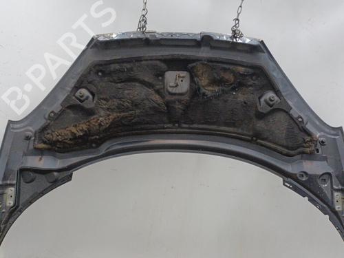 Hood PEUGEOT 807 (EB_) 2.2 HDi | BP22102304C1