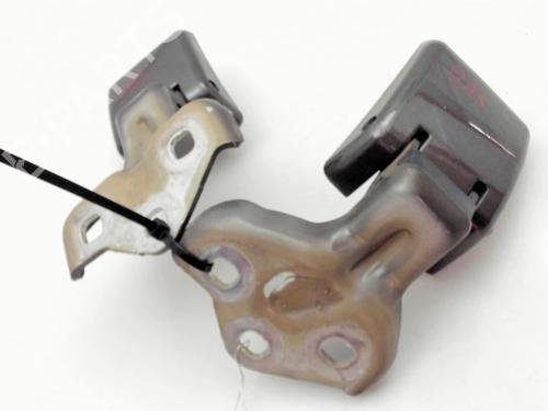 Hinge/Door check strap PEUGEOT EXPERT Van (V_) 2.0 BlueHDi 145 | BP28811235C146 
