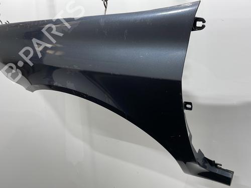 Left front fenders RENAULT LAGUNA II (BG0/1_) 1.9 dCi (BG1A, BG1W, BG0G) | BP20402962C41 