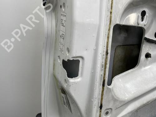 Left front door PEUGEOT PARTNER Box Body/MPV (5_, G_) 1.9 D | BP20417204C2 