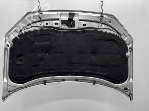 Hood VW POLO IV (9N_, 9A_) 1.4 TDI | BP29921976C1