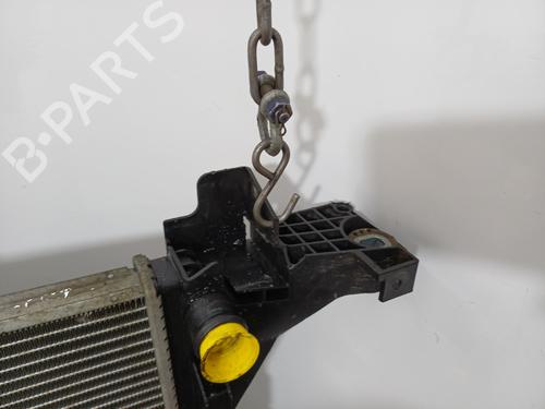 Water radiator RENAULT MASTER III Van (FV) 2.3 dCi 130 FWD (FV0M, FV0Y, FV0J, FV02, FV03) | BP37037600M31 - Image 6
