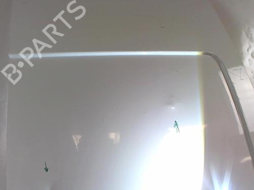 Right tailgate FORD TRANSIT CONNECT (P65_, P70_, P80_) 1.8 Di | BP20413717C77 