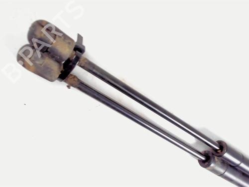 Used Tailgate lift support RENAULT SCÉNIC II (JM0/1_) 1.6 (105 hp) 20398741
