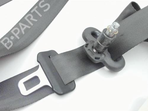Rear left belt tensioner CHEVROLET AVEO / KALOS Hatchback (T250, T255) 1.2 LPG | BP20423676C89 