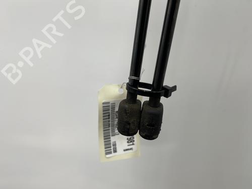 Tailgate lift support RENAULT MEGANE II (BM0/1_, CM0/1_) 1.9 dCi (BM0G, CM0G) | BP29419845C138 