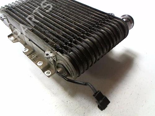 Intercooler HYUNDAI GALLOPER II (JK-01) 2.5 TD intercooler | BP20453271M30 