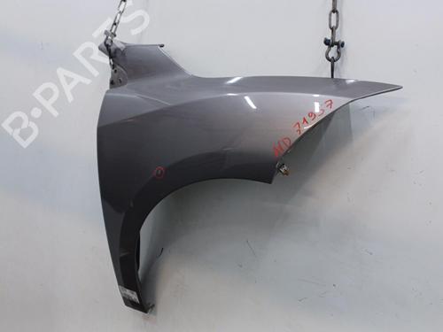 Right front fenders RENAULT MEGANE III Hatchback (BZ0/1_, B3_) 1.5 dCi | BP22102677C42 