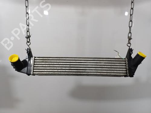 Intercooler DACIA LOGAN EXPRESS (FS_) 1.5 dCi | BP35969528M30 - Image 3