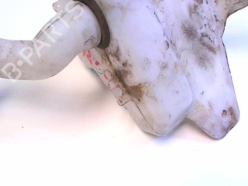 Windscreen washer tank FIAT GRANDE PUNTO (199_) 1.3 D Multijet (199.AXD11, 199.AXD1A, 199.AXD1B,... | BP20479224C113 