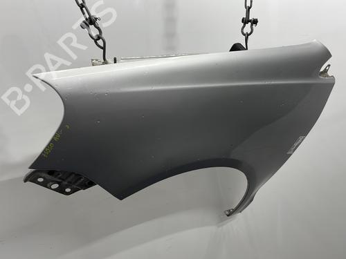 Left front fenders VW POLO IV (9N_, 9A_) 1.4 TDI | BP29749636C41 