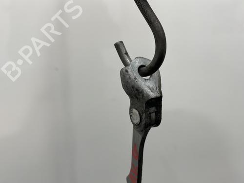 Hinge/Door check strap RENAULT MEGANE III Hatchback (BZ0/1_, B3_) 1.5 dCi (BZ09, BZ0D, BZ1W, BZ29, BZ14) | BP22599947C146 