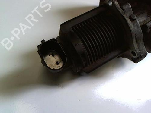 Egr FIAT PUNTO (188_) 1.3 JTD 16V | BP20456691M69