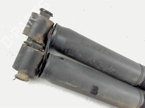Used Right rear shock absorber RENAULT SCÉNIC III (JZ0/1_) 1.5 dCi (106 hp) 20442811