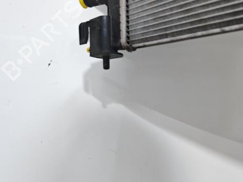 Used Water radiator Water radiator RENAULT TWINGO III (BCM_, BCA_) 1.0 SCe 70 (71 hp) 40116280 40116280