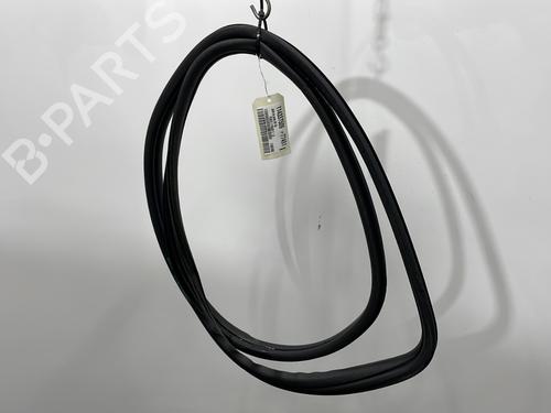 Rubber door seal FIAT PUNTO (188_) 1.2 60 (188.030, .050, .130, .150, .230, .250) | BP29921991C142