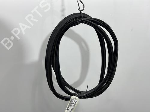 Used Rubber door seal FORD C-MAX II (DXA/CB7, DXA/CEU) 1.6 TDCi (95 hp) 30308501