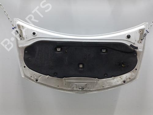 Hood RENAULT CLIO III (BR0/1, CR0/1) 1.5 dCi (C/BR0G, C/BR1G) | BP20465289C1 
