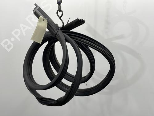 Rubber door seal NISSAN ALMERA TINO (V10) 2.2 dCi | BP20928896C142