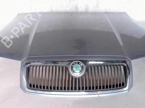 Hood SKODA FABIA I Combi (6Y5) 1.9 TDI | BP20461602C1 