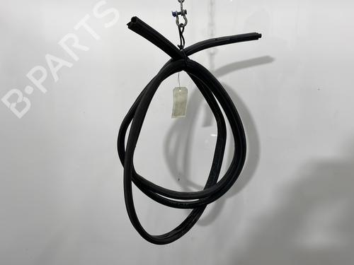 Gummiliste RENAULT KANGOO (KC0/1_) 1.2 16V (KC05, KC06, KC03, KC0T, KC0W, KC1D) (75 hp) 31126782