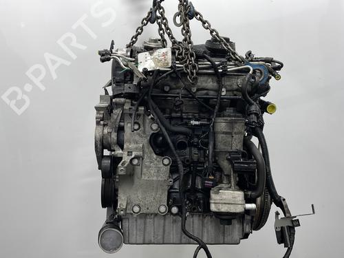 Used Engine VW GOLF V (1K1) 1.9 TDI (105 hp) 30044825