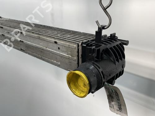 Intercooler RENAULT SCÉNIC III (JZ0/1_) 1.9 dCi (JZ0J, JZ1J, JZ1K, JZ1S) | BP30602793M30