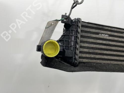 Intercooler JAGUAR X-TYPE I Estate (X400) 2.0 D | BP20440513M30