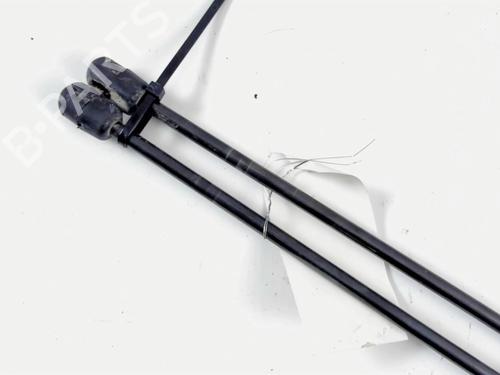 Used Tailgate lift support Tailgate lift support FORD B-MAX (JK) 1.0 EcoBoost (125 hp) 20469150 20469150
