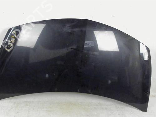 Hood RENAULT CLIO III (BR0/1, CR0/1) 1.5 dCi (BR0H, CR0H, CR1S, BR1S) | BP20442906C1 