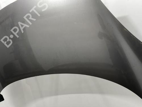 Hood RENAULT SCÉNIC III (JZ0/1_) 1.5 dCi | BP20397369C1