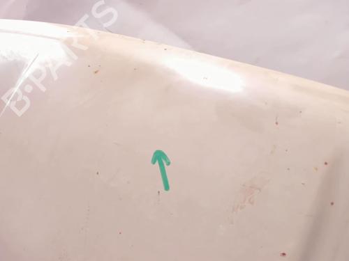 Hood RENAULT TRAFIC Van (T_, P_, V_) 1.6 | BP21203825C1 