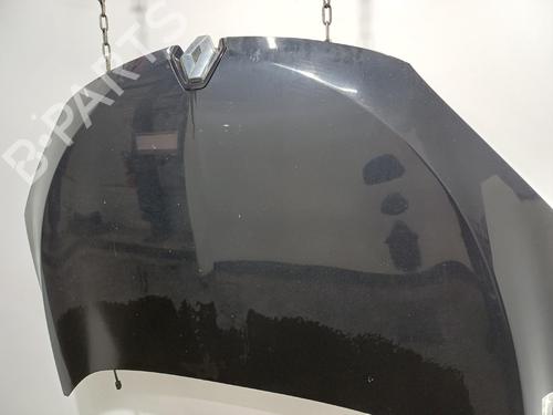 hood-renault-megane-iii-hatchback-bz01_-b3_-2008-39151144 main image
