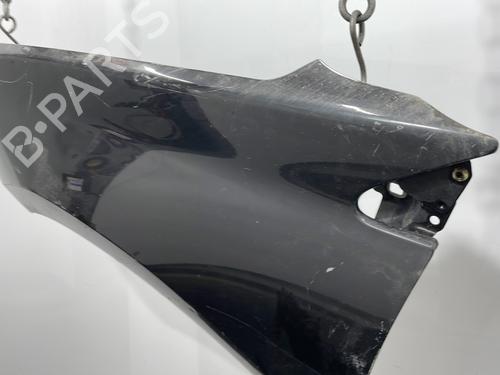 Left front fenders RENAULT LAGUNA III Grandtour (KT0/1) 2.0 dCi (KT07, KT0J, KT14, KT1A, KT1S) | BP20428327C41 