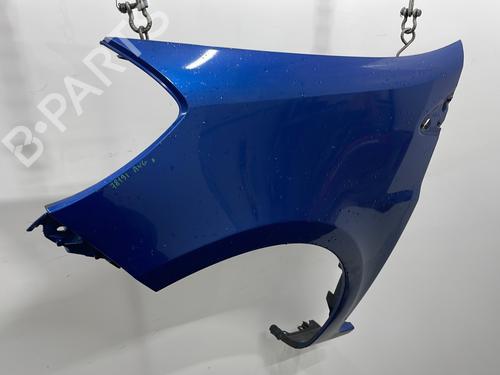 Left front fenders RENAULT CLIO III (BR0/1, CR0/1) 1.5 dCi (BR17, CR17) | BP29928462C41