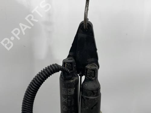 Gasdæmper bagklap VW TIGUAN (AD1, AX1) 2.0 TDI | BP29545161C138 