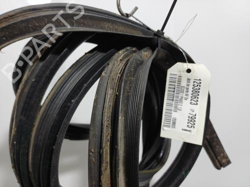 Guarnizione porta Guarnizione porta FIAT SCUDO Van (220_) 1.9 D (69 hp) 34458995 34458995