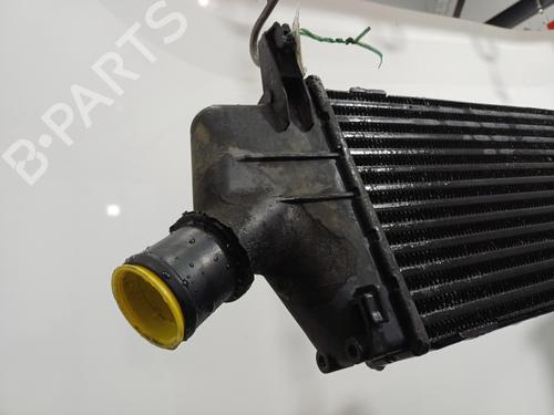 Used Intercooler Intercooler NISSAN MICRA III (K12) [2002-2011] 35969510 35969510
