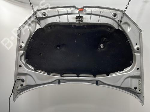 Hood VW POLO V (6R1, 6C1) 1.6 TDI | BP29625634C1 