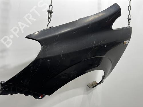 Left front fenders OPEL ZAFIRA / ZAFIRA FAMILY B (A05) 1.9 CDTI (M75) | BP20665985C41 