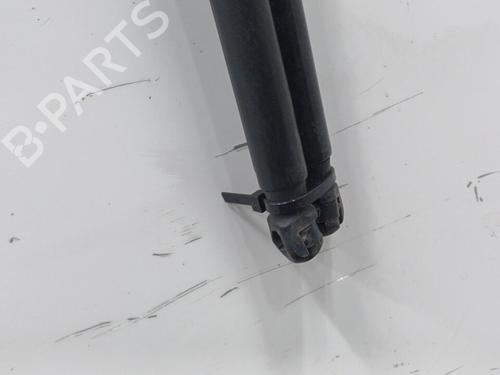 Tailgate lift support CITROËN C4 Picasso I MPV (UD_) 1.6 HDi | BP20424410C138 