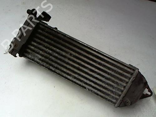 Intercooler LANCIA KAPPA (838_) 2.4 T.DS (838AE1AA, 838AH1AA) | BP21234000M30 