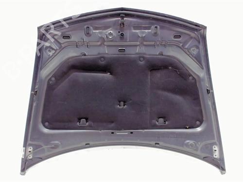 Hood RENAULT VEL SATIS (BJ0_) 3.0 dCi (BJ0S) | BP20411352C1 